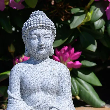 Ferienwohnung-weidenstieg-og